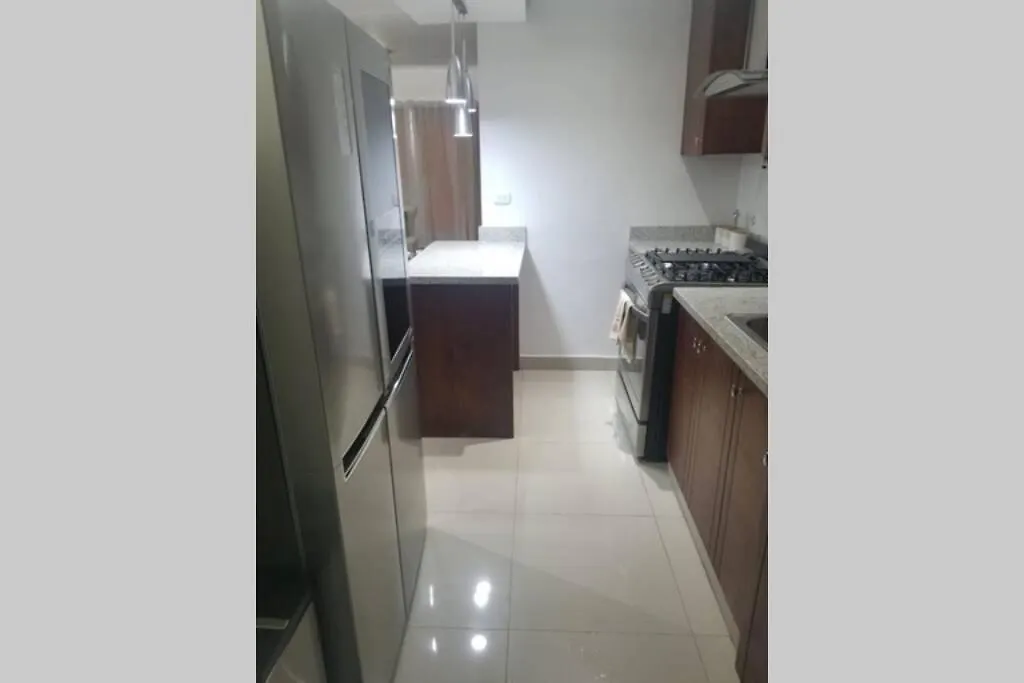 圣地亚哥洛斯卡巴Lia Amanda Edificio 5公寓 公寓